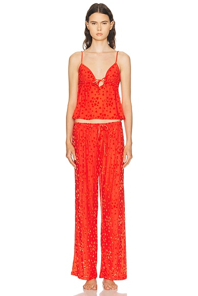 Sheer Velvet Burnout Cami & Pant Set