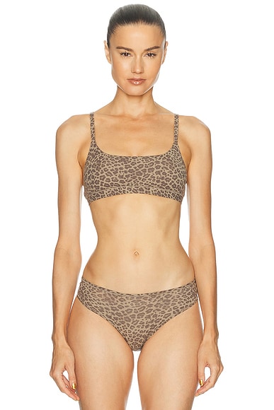 Fits Everybody Scoop Bralette