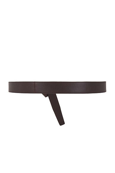 Saint Laurent Cintura Belt In Brown Oak