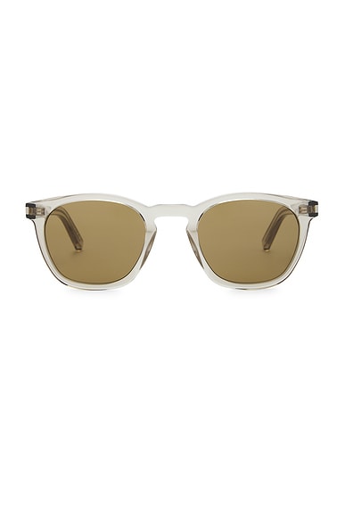 Saint Laurent Oval Sunglasses in Beige & Brown