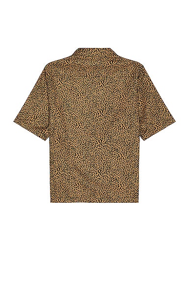 Shop Saint Laurent Hawaii Short Sleeve Shirt In Black & Camel