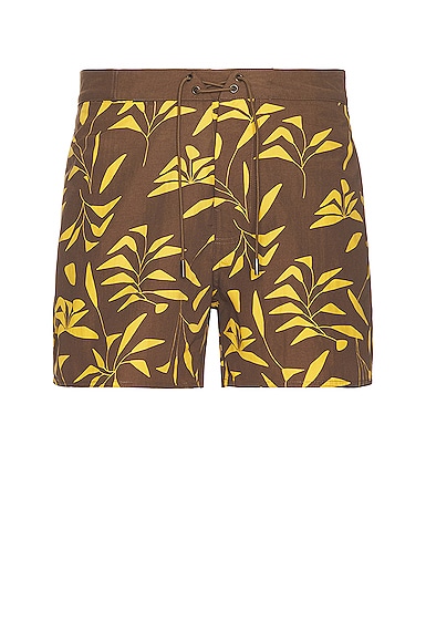 Saint Laurent Straight-leg Printed Twill Drawstring Shorts In Brown