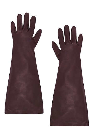 Long Gloves