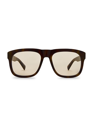 Saint Laurent SL 558 Sunglasses in Shiny Brown Havana