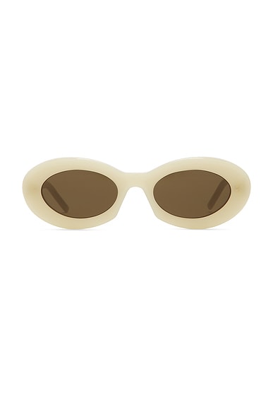 Saint Laurent Oval Sunglasses in Ivory & Brown