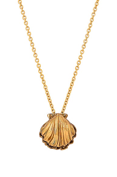 Seashell Charm Long Necklace