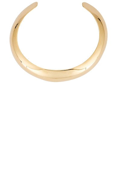 Horn Torque Necklace
