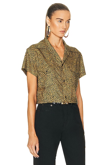 Shop Saint Laurent Cropped Short Sleeve Shirt In Black & Camel