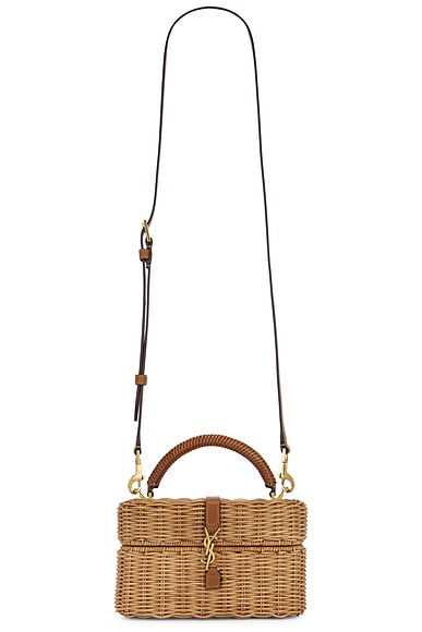 Saint Laurent Mini Gaby Vanity Bag in Naturale & Brick