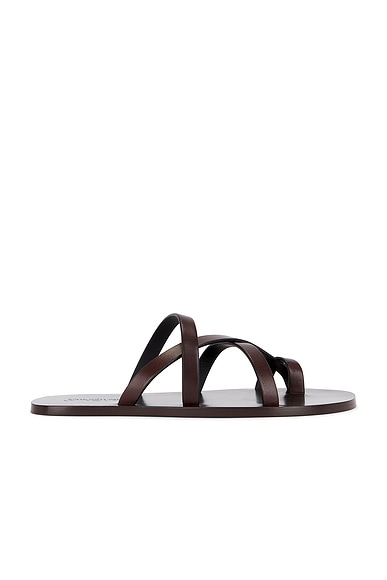 Saint Laurent Culver Flat Sandal in Ultra Dark Brown