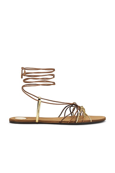 Bridget Flat Sandal in Dark Macadamia & Metal