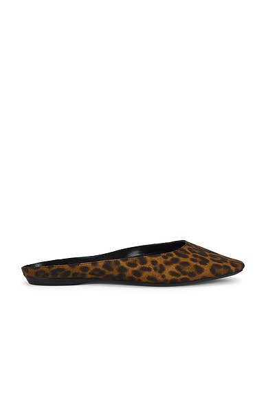 国内外の人気集結！ Slide Ballerimu Blahnik Manolo in FWRD | Suede Leopard 靴