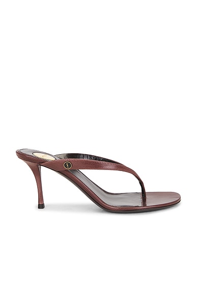 Saint Laurent Sue Sandal in Morocco Brown