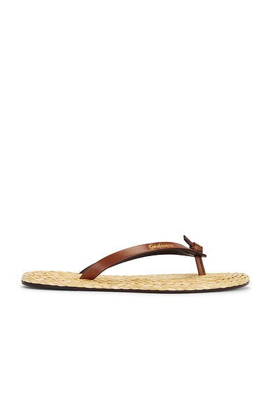 Saint Laurent Pool Slide in Bruciato