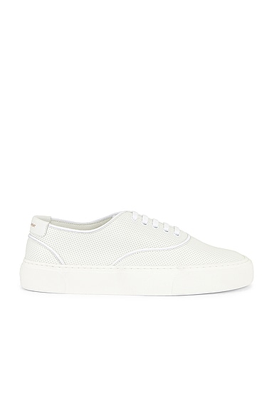 Venice Low Top Sneakers