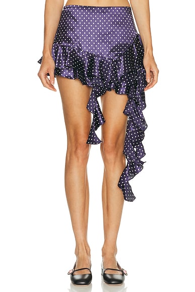 Sandy Liang Lucy Skirt in Navy Multi