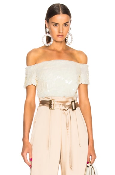 Degrade Sequins Bustier