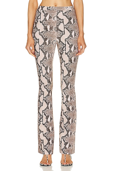 Python Printed Trouser