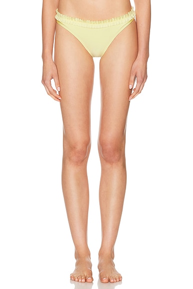 The Cassidy Bottom