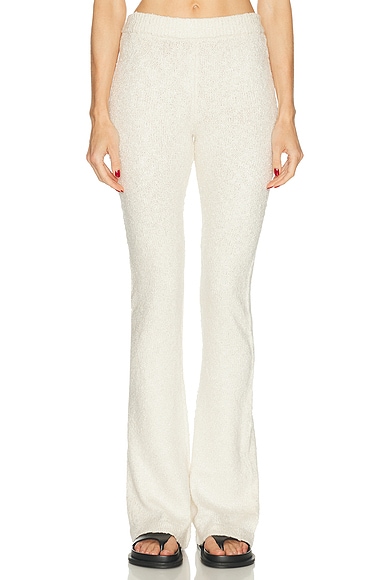 Zadie Pant