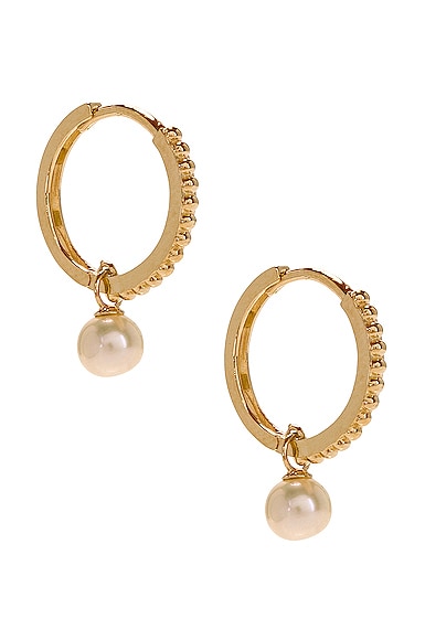 STONE AND STRAND Beaded Pearl Huggie Earrings in 10k Yellow Gold