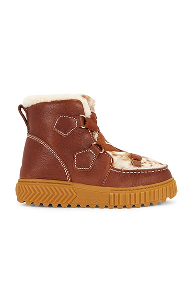 Sorel Ona Ave Alpine Lux Boot in Dark Amber & Gum