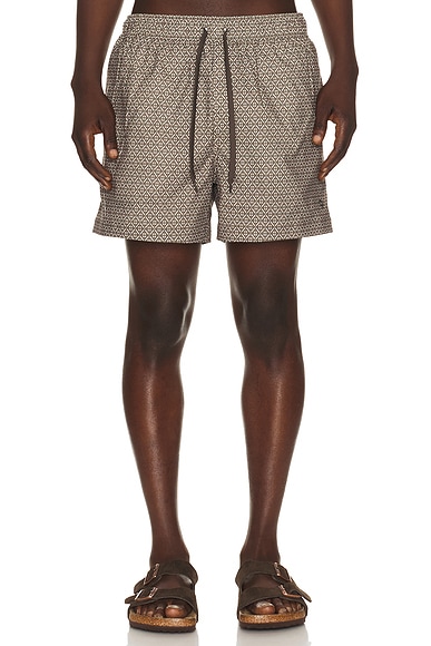 SAMSOE SAMSOE Moses Swim Shorts in Brown Tile