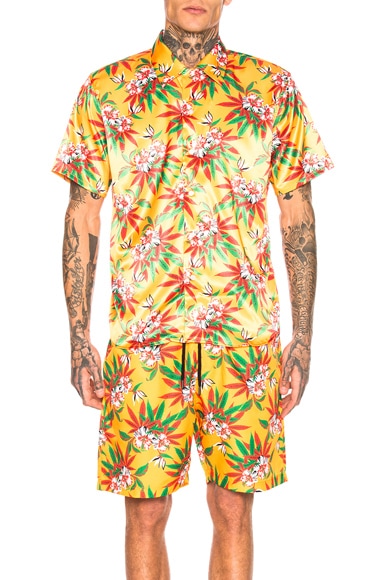 Hawaiian Shirt