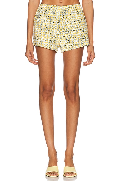 Paddle Short