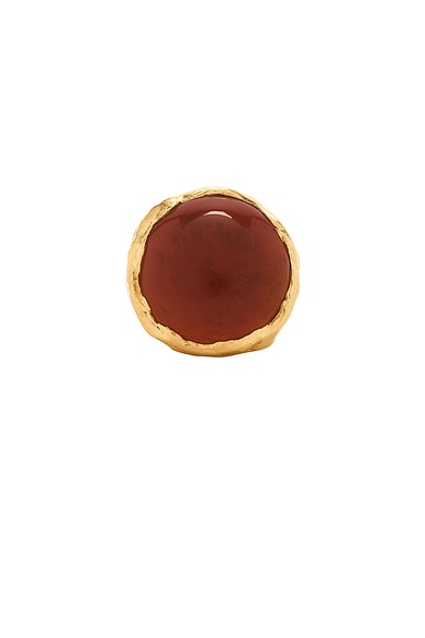 Antolon Ring