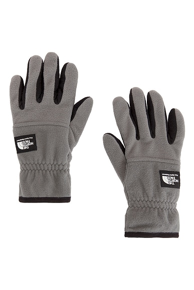 The North Face Etip Heavyweight Fleece Gloves in Smoked Pearl