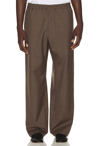Ari Pant