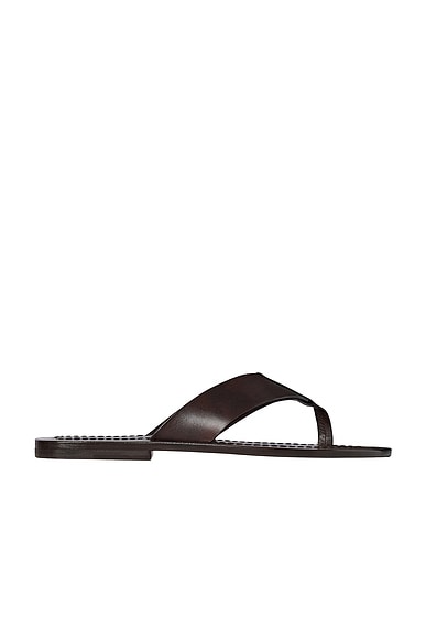 The Row Dan Flip Flop in Lacquer Brown