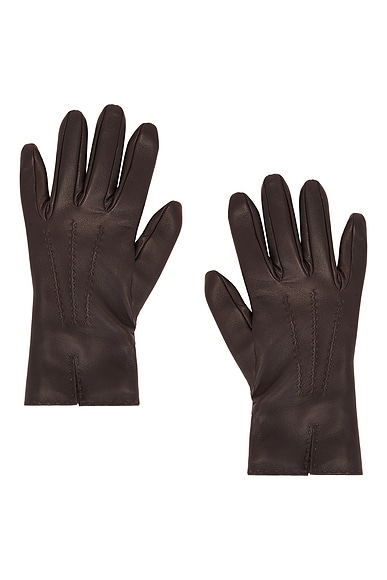 The Row Florence Gloves in Espresso