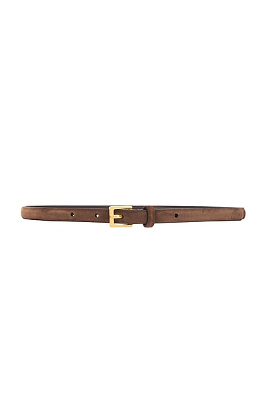 City Belt in Brown Ang