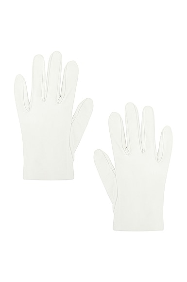The Row Lorella Gloves In Off White