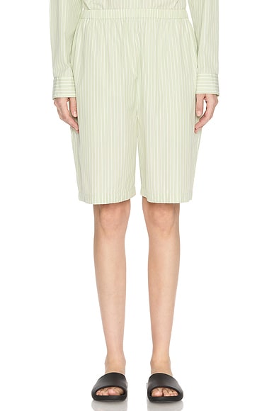 Zinnia Short