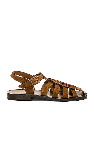 Shop The Row Pablo Sandal In Bark