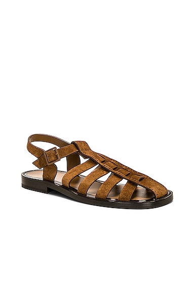 Shop The Row Pablo Sandal In Bark