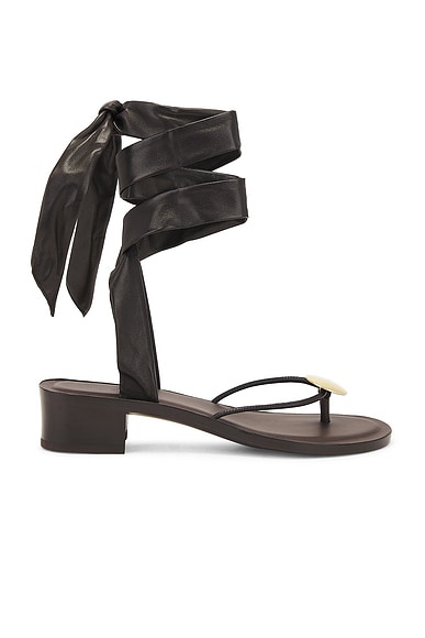 The Row Cord Sandal in Espresso, Dark Brown, & Brass