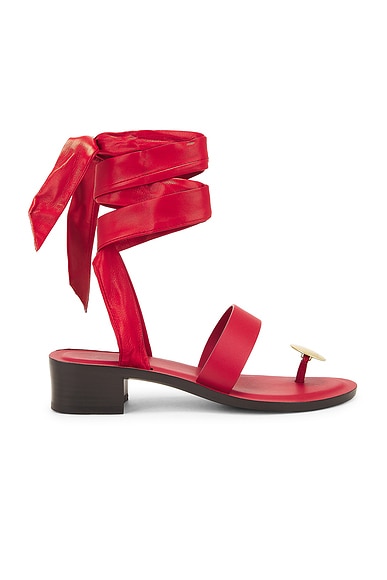 The Row Band Sandal in Gogi, Red, & Brass
