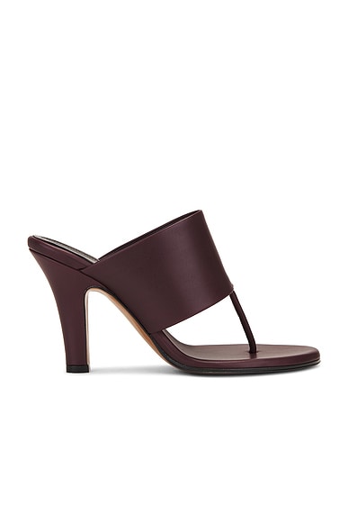 The Row Signum Sandal in Bordeaubergine