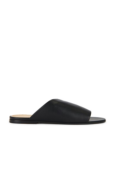 Rene Sandal