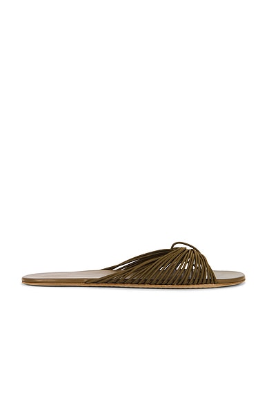 Sara Thong Slide