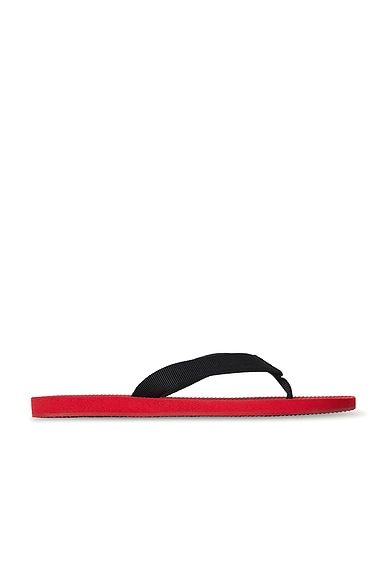 The Row Dune Classic Sandal in Scarlet