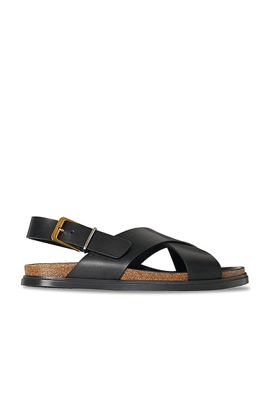 The Row Buckle Sandal in Black
