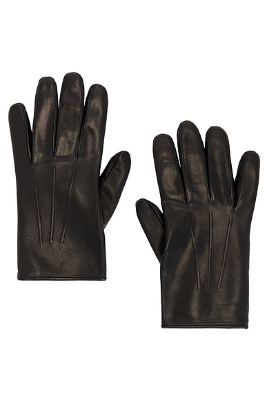 Nappa Leather Light Gloves