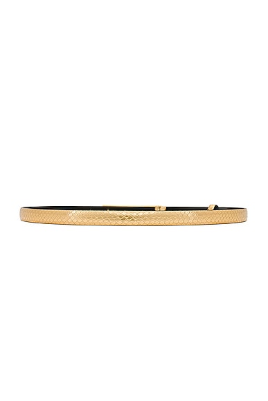 Shop Tom Ford Stamped Python Bar 15mm Belt In Dark Gold