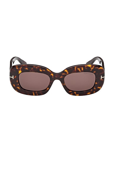 TOM FORD Islay Sunglasses in Brown & Brown