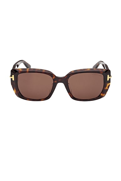 Square Sunglasses